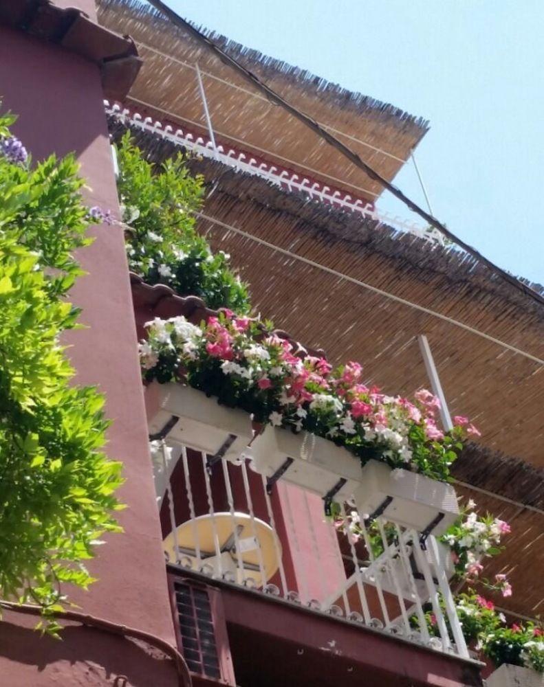 Villa La Tartana Ποζιτάνο Εξωτερικό φωτογραφία